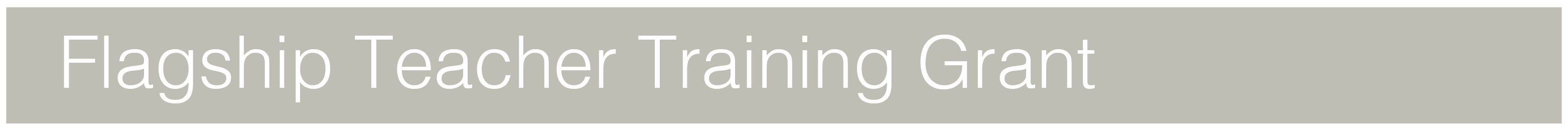 Flagship Teacher Training Grant